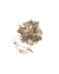 Glorex Federn Huhn 5-12 cm, 10g, Braun