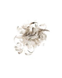 Glorex Federn Hahn 5-12 cm, 10g, Braun