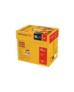 Fischer Papier Kopierpapier Colour Documents A4, 120 g/m², 2000 Blatt