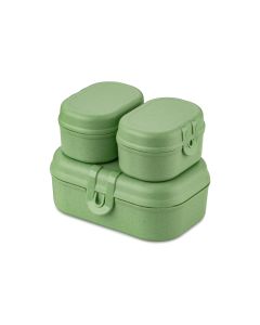 Koziol Lunchbox Pascal Ready Mini Grün