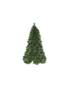 Star Trading Weihnachtsbaum Cembra, 2.4 m, Grün