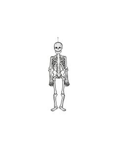 Creativ Company Halloweenfigur Papierdeko Skelett 120 cm, 300g
