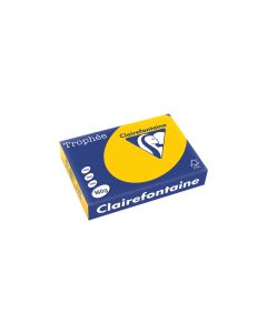 Clairefontaine Kopierpapier Trophée Colored Copy FSC A4, Gelb, 160 g/m²