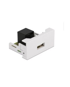 Delock Easy 45 Modul 22.5 x 45 mm RJ45 - USB-A Buchse