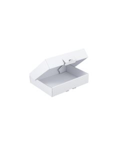 Brieger Versandkarton Klappschachtel 22 x 15.5 x 4.5 cm