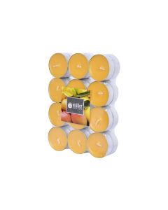 müller Kerzen Duftkerze Exotic Fruits 24 Stück