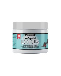 Numatic Staubsauger Deo NuCrystal Lotus