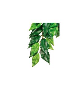 Exo Terra Regenwaldpflanze Fikus, M