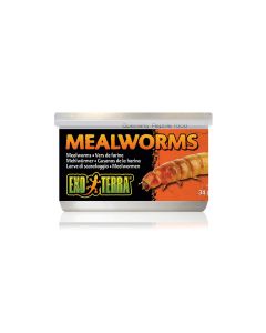 Exo Terra Dosenfutter Mealworms, 34 g