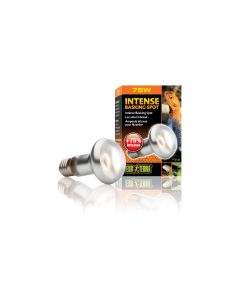 Exo Terra Terrarienlampe Intense Basking Spot E27, R20/75W