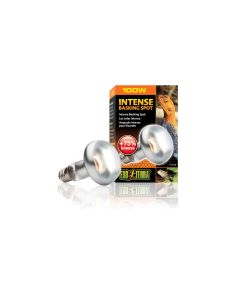 Exo Terra Terrarienlampe Intense Basking Spot E27, R25/100W