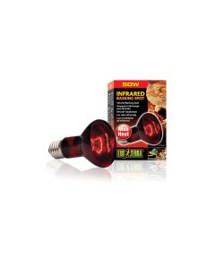 Exo Terra Terrarienlampe Infrared Basking Spot E27, R20/50W