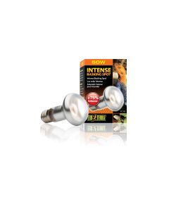 Exo Terra Terrarienlampe Intense Basking Spot E27, R20/50W