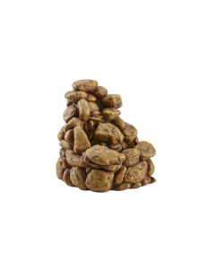 Exo Terra Wasserfall Large, 25.5 x 27 x 27 cm