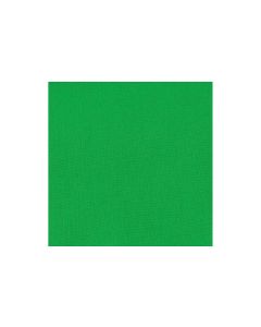 Hama Hintergrund Stoff, 2.95 x 6 m Grün