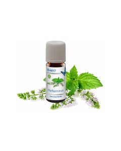 Venta Luftwäscher Duftöl Pfefferminze, 3 x 10 ml