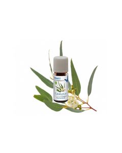 Venta Luftwäscher Duftöl Eukalyptus, 3 x 10 ml