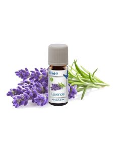 Venta Luftwäscher Duftöl Lavendel, 3 x 10 ml