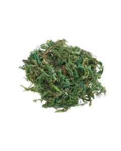 HobbyFun Mini-Utensilien Moss 20g, Hellgrün