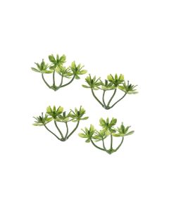 HobbyFun Mini-Utensilien Buchs I 3 cm, 6 Stück