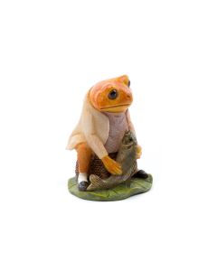 Jardinopia Cane Companions Mr. Jeremy Fisher, Mehrfarbig