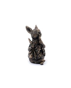 Jardinopia Cane Companions Peter Rabbit