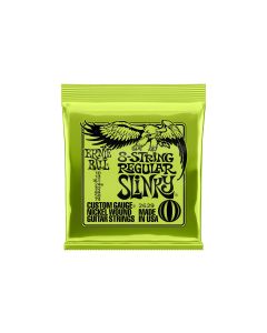 Ernie Ball Gitarrensaiten 2629 8-String Regular Slinky – 10-74