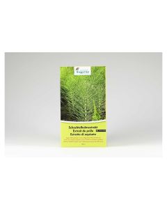 Andermatt Biogarten Konzentrat Schachtelhalmextrakt, 1.8 l