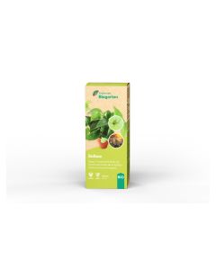 Andermatt Biogarten Pflanzenschutz BIO Solbac, 100 ml