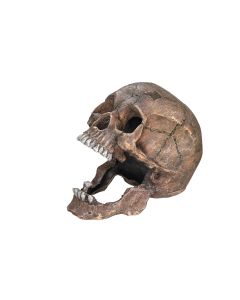Nobby Aqua Ornaments Totenkopf, 13.5 x 20 x 16.5 cm