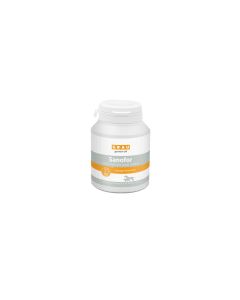Grau Hunde-Nahrungsergänzung Sanofor, 150 g
