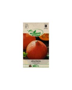 Samen Mauser Samen BIO Kürbis Hokkaido Uchiki Kuri