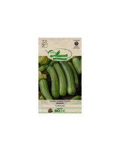 Samen Mauser Samen BIO Zucchetti Genovese