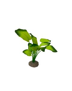 AquaDella Kunstpflanze Anubias 3, 20 cm