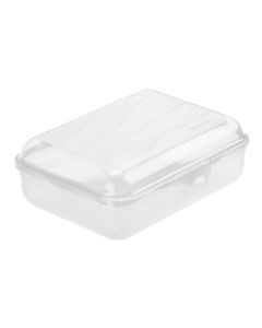 Rotho Lunchbox Fun 1250 ml, Transparent