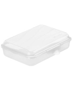 Rotho Lunchbox Fun 450 ml, Transparent