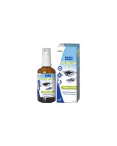 Hübner Basis Balance Magnesium-Öl Mineralspray 60 ml