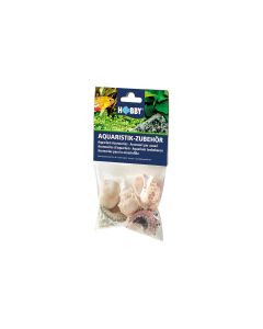 Hobby Aquaristik Dekoration Sea Shells Set, L, 5 Stück