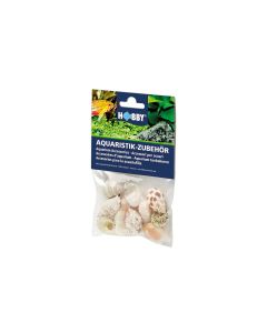 Hobby Aquaristik Dekoration Sea Shells Set, M, 10 Stück