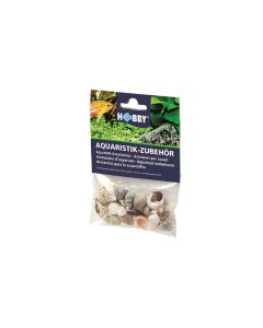 Hobby Aquaristik Dekoration Sea Shells Set, S, 20 Stück