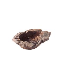 Hobby Terraristik Wasserschale TerraPond 2, 35 x 29 x 7 cm