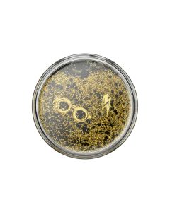 PopSockets Halterung Premium The Boy who lived