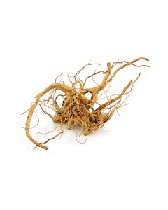 AMAZONAS Dekoration Finger-Wurzel S, 20-30 cm