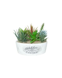 Dameco Kunstpflanze Sukkulenten «Welcome» 16 cm, mit Topf