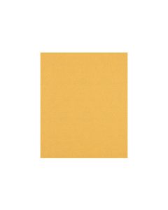 Bosch Professional Schleifpapier EXPERT C470, 230 x 280 mm, G 100