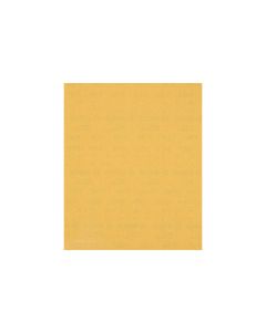 Bosch Professional Schleifpapier EXPERT C470, 230 x 280 mm, G 180