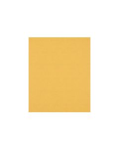 Bosch Professional Schleifpapier EXPERT C470, 230 x 280 mm, G 120