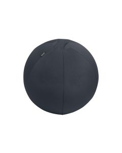 Leitz Sitzball Ergo Active 55 cm, Dunkelgrau