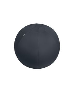 Leitz Sitzball Ergo Active 65 cm, Dunkelgrau