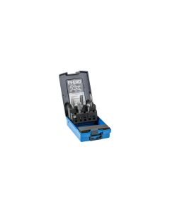 Pferd Hartmetallfrässtifte-Set 5-tlg. Zahnung 3 PLUS Schaft-Ø 6 mm